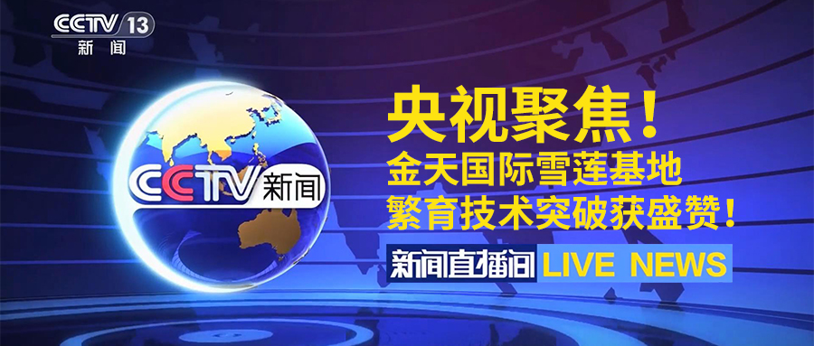 简讯:央视聚焦!金天国际雪莲基地繁育技术突破获盛赞!