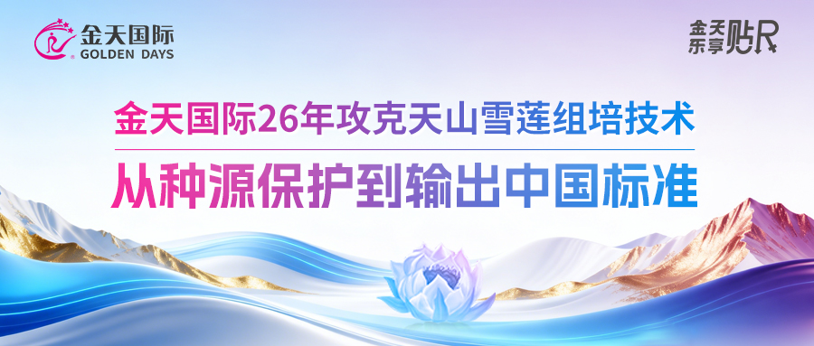 金天国际26年攻克天山雪莲组培技术：从种源保护到输出中国标准