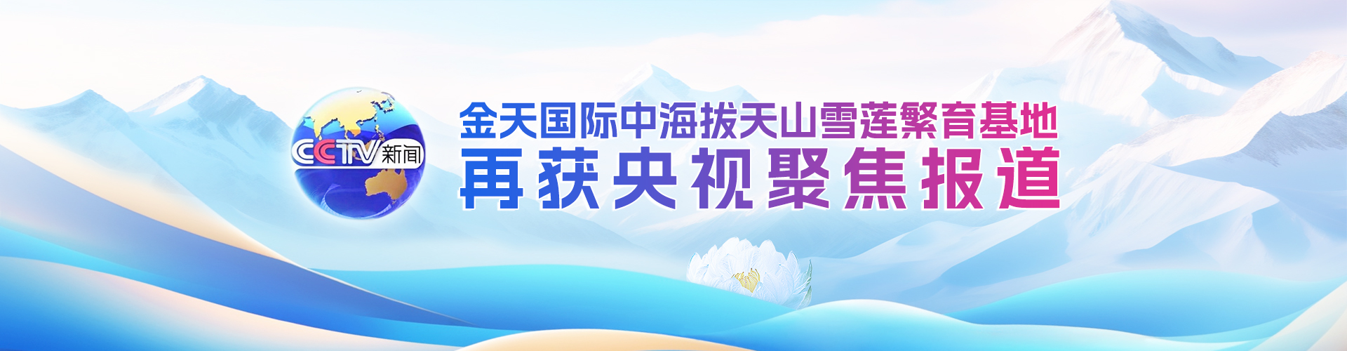 金天国际雪莲基地繁育技术突破获盛赞