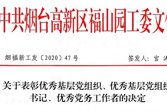 创党建高地，迎建党百年——祖明艳获优秀支部书记表彰