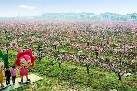 2019“金天国际杯”桃花节盛典报名须知