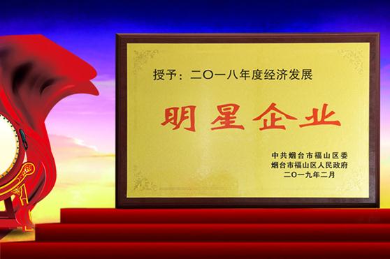 经济发展脊梁，金天国际连续两年荣获“经济发展明星企业”称号
