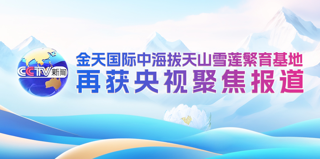 金天国际雪莲基地繁育技术突破获盛赞