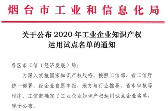 引领产业创新与行标制定，金天国际核心制造企业入选工信部2020年工业企业知识产权运用试点名单