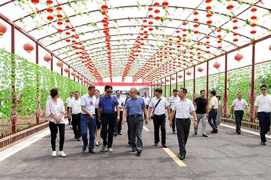 中国国际商会携国家级十大商协会、科研机构及世界500强近百家知名企业共建名食养食养平台