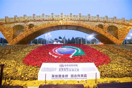 金天国际将出席中国今年规模最大主场外交盛会