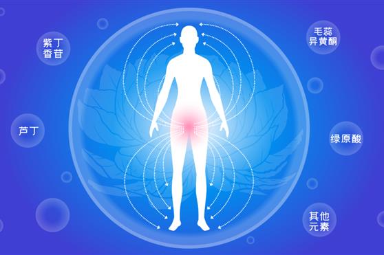 首创“雪莲养护”新方式，金天国际打造人类品质生活强劲引擎